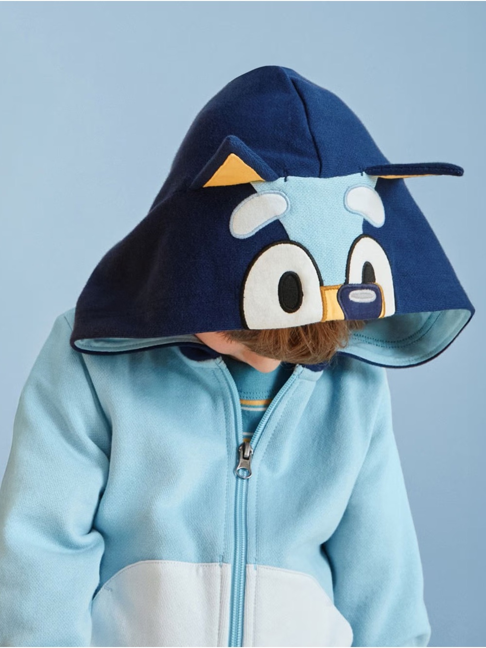 Hanna Andersson Bluey hoodie